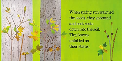 Red Leaf, Yellow Leaf,Used