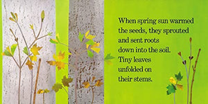 Red Leaf, Yellow Leaf-new