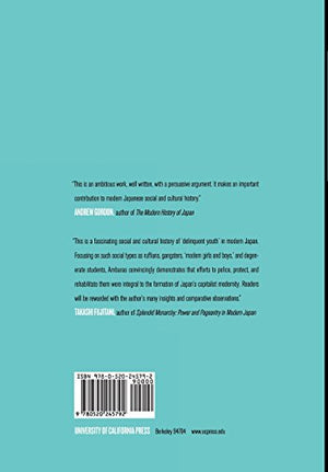 Bad Youth: Juvenile Delinquency and the Politics of Everyday Life in Modern Japan (Studies of the Weatherhead East Asian Institu,Used