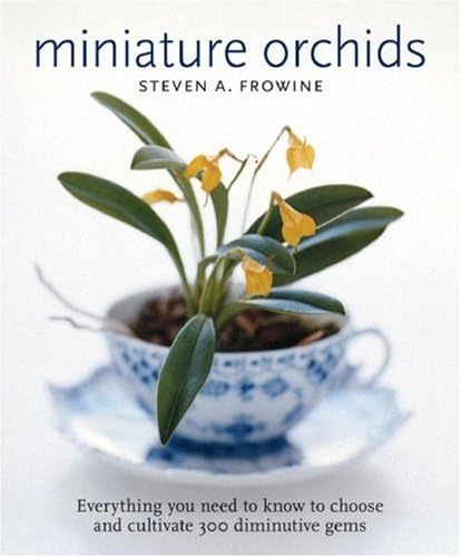 Miniature Orchids,Used