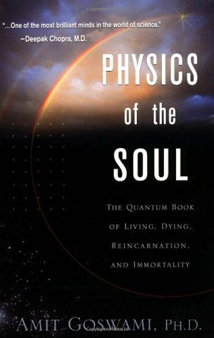 Physics Of The Soul: The Quantum Book Of Living, Dying, Reincarnation And Immortality