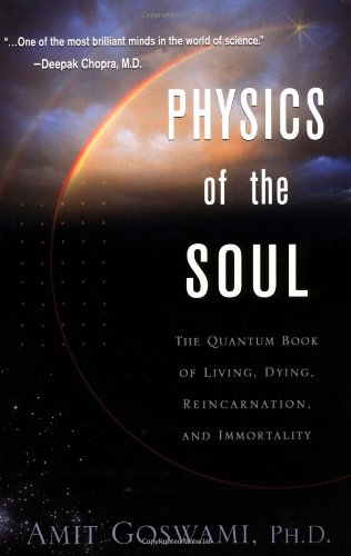 Physics Of The Soul: The Quantum Book Of Living, Dying, Reincarnation And Immortality