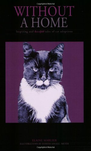 Without A Home  Inspiring And Heartfelt Tales Of Cat Adoptions,New