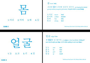 Korean Flash Cards Kit: Learn 1,000 Basic Korean Words and Phrases Quickly and Easily! (Hangul & Romanized Forms) Downloadable A,New