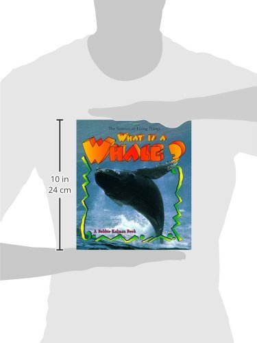 What Is A Whale? (The Science Of Living Things),New