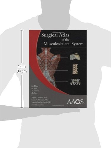 Surgical Atlas Of The Musculoskeletal System,Used