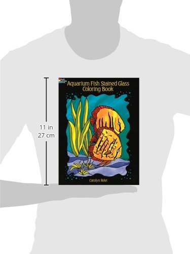 Aquarium Fish Stained Glass Coloring Book (Dover Nature Stained Glass Coloring Book),Used