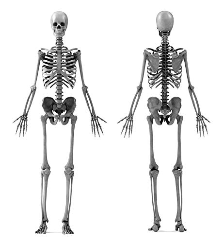 Emt (Emergency Medical Technician) Crash Course With Online Practice Test, 2Nd Edition: Get A Passing Score In Less Time (Emt Te,New