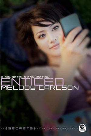 Enticed: A Dangerous Connection (Secrets),Used
