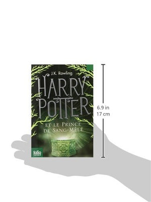 Harry Potter Et le Prince de SangMele (French Edition),Used