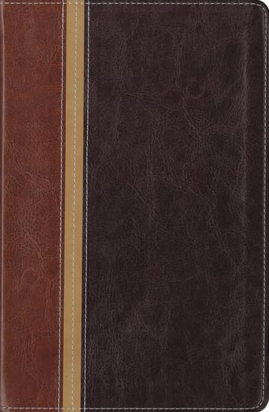 New International Version/ The Message Parallel Study Bible: New International Version, Dark Caramel/Black Italian Duotone, Per,Used