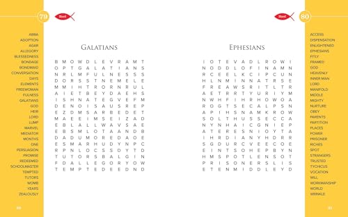 Large Print Bible Word Search Book: 100 Challenging and Fun Puzzles for Adults,Used
