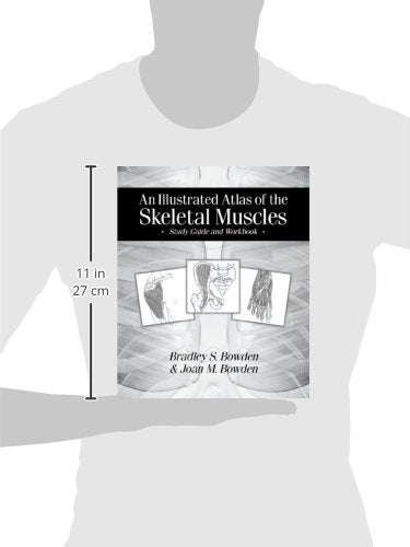 An Illustrated Atlas of the Skeletal Muscles: Study Guide and Workbook,Used
