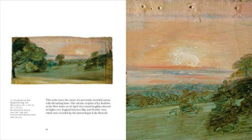 Constable's Skies (V&A Artists in Focus),Used