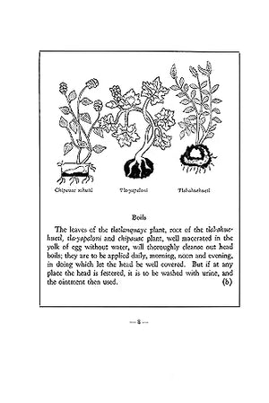 An Aztec Herbal: The Classic Codex of 1552,Used