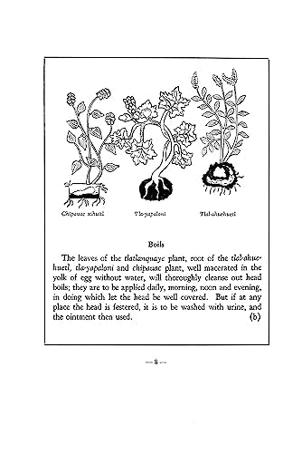 An Aztec Herbal: The Classic Codex of 1552,Used