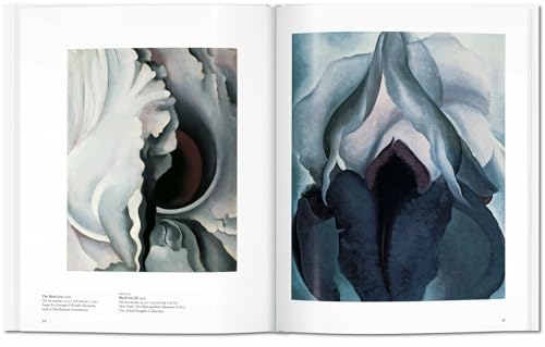 Georgia O'Keeffe: Flowers in the Desert,Used
