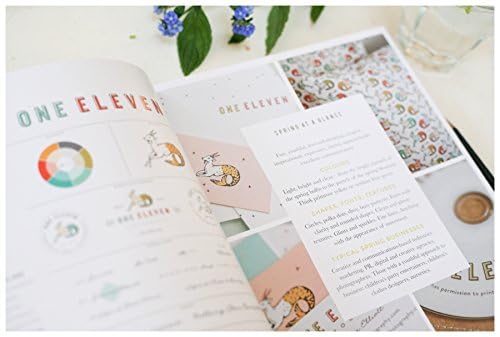 How to Style Your Brand: Everything You Need to Know to Create a Distinctive Brand Identity,New