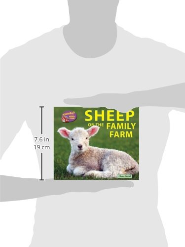 Sheep on the Family Farm (Animals on the Family Farm),Used