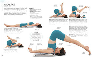 B.K.S. Iyengar Yoga The Path to Holistic Health: The Definitive Stepbystep Guide,Used