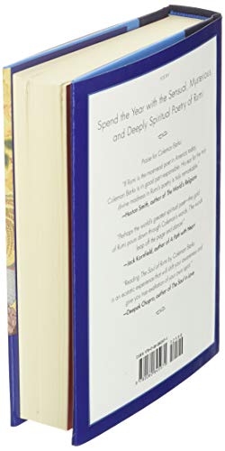 A Year with Rumi: Daily Reflections with the Timeless Poetry of Rumi, Featuring 15 Previously Unpublished Poems for Deepening Co,Used