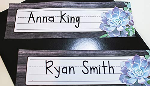 Schoolgirl Style Simply Stylish Succulent Nameplates, 9.5' x 2.875', Pack of 36,Used
