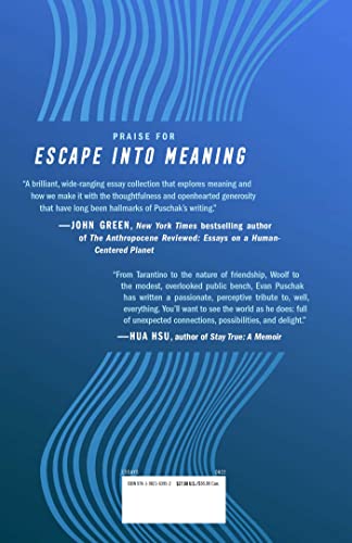 Escape into Meaning: Essays on Superman, Public Benches, and Other Obsessions,Used