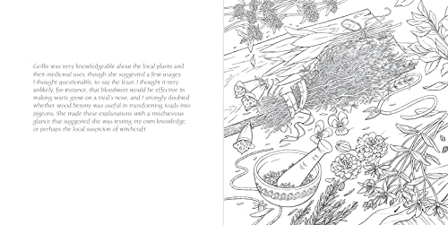 The Official Outlander Coloring Book: An Adult Coloring Book-used