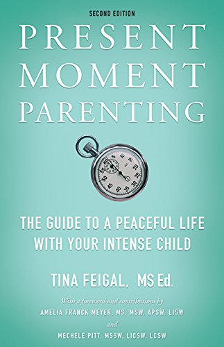 Present Moment Parenting: The Guide to a Peaceful Life with Your Intense Child,New