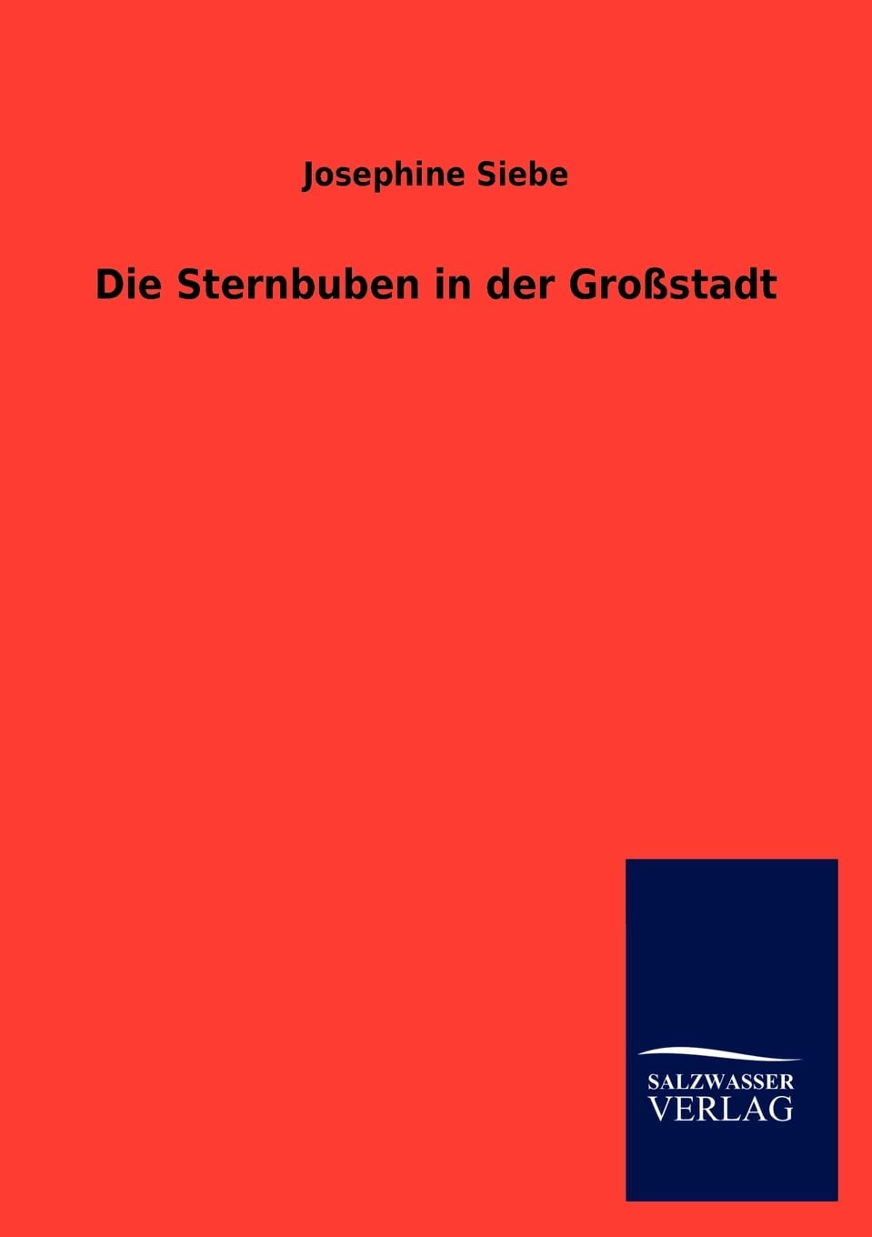 Die Sternbuben in Der Gro Stadt (German Edition),Used