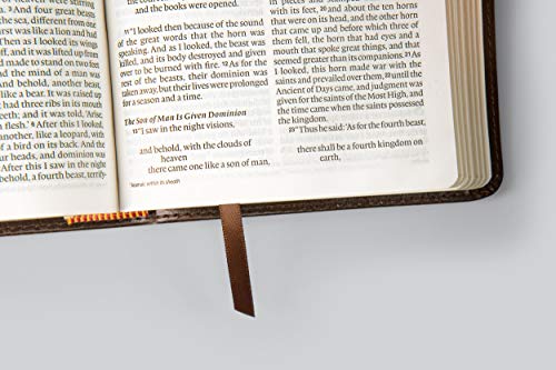 ESV Large Print Compact Bible (TruTone, Teal, Bouquet Design),Used