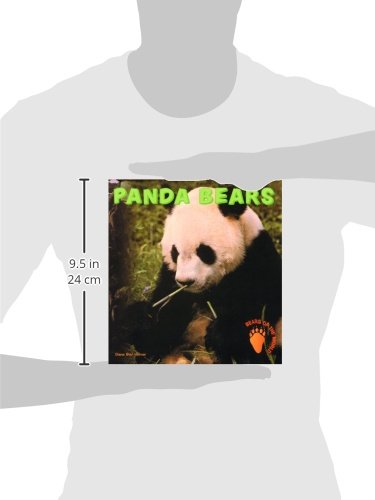 Panda Bears (Bears of the World),Used