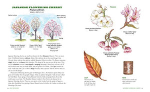 The Tree Book for Kids and Their GrownUps,New