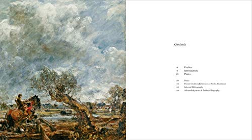 Constable's Skies (V&A Artists in Focus),Used