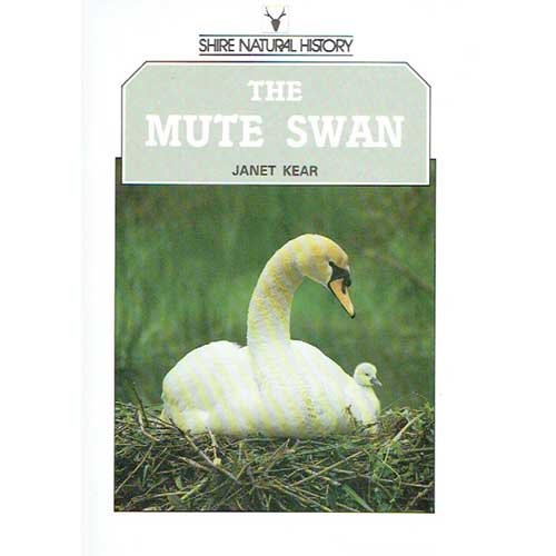 The Mute Swan,New
