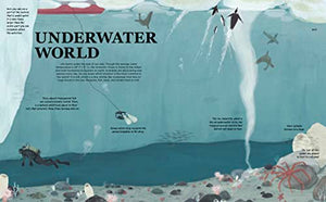 Antarctica: A Continent of Wonder,Used
