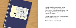 Uliaq's Amazing Animals: Snowy Owl: English Edition (Nunavummi Reading Series),Used