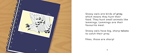 Uliaq's Amazing Animals: Snowy Owl: English Edition (Nunavummi Reading Series),Used