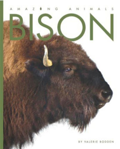 Amazing Animals: Bison,Used