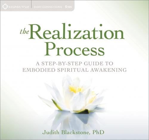The Realization Process: A StepbyStep Guide to Embodied Spiritual Awakening,Used
