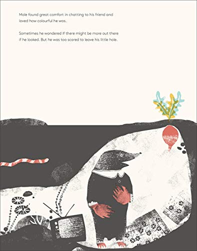 Mole in a Black and White Hole,Used