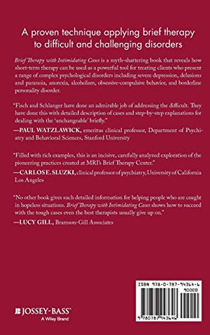 Brief Therapy With Intimidating Cases: Changing The Unchangeable,New