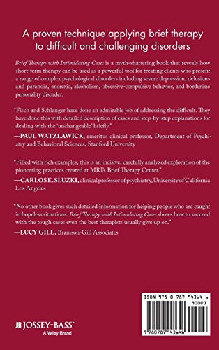 Brief Therapy With Intimidating Cases: Changing The Unchangeable,New
