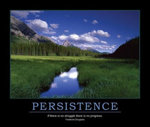 Persistence Poster,Used