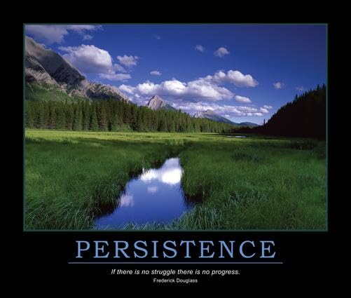 Persistence Poster,Used