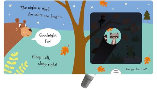 Goodnight Bear (Magic Flashlight Books)