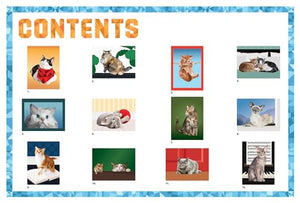 Paint by Sticker: Cats: Create 12 Stunning Images One Sticker at a Time!,New