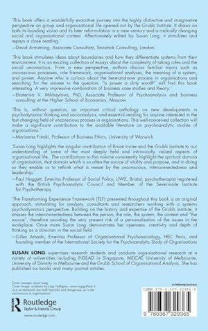 Transforming Experience in Organisations: A Framework for Organisational Research and Consultancy,Used