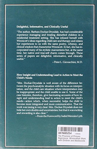 The Provision of Primary Experience: Winnicottian Work With Children and Adolescents,Used