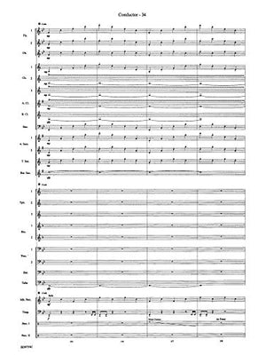 The Maelstrom (Belwin Concert Band),Used